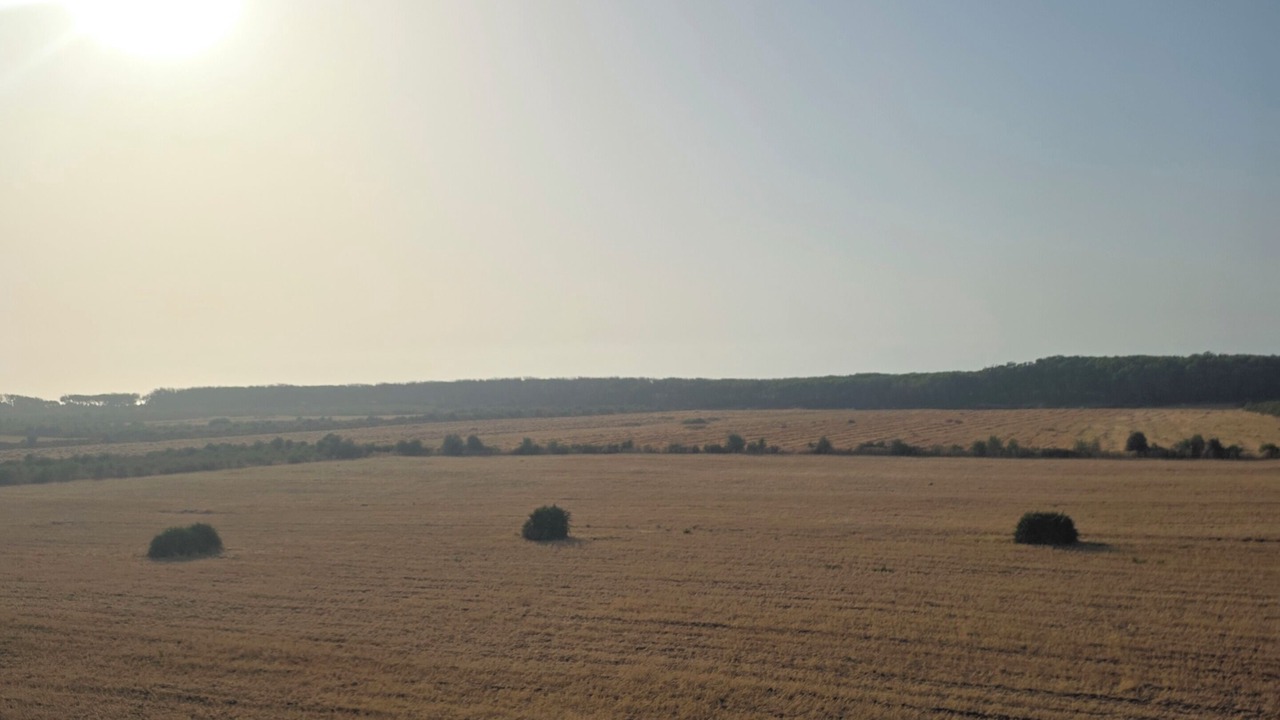 Photo of Others in Sidi Rahal