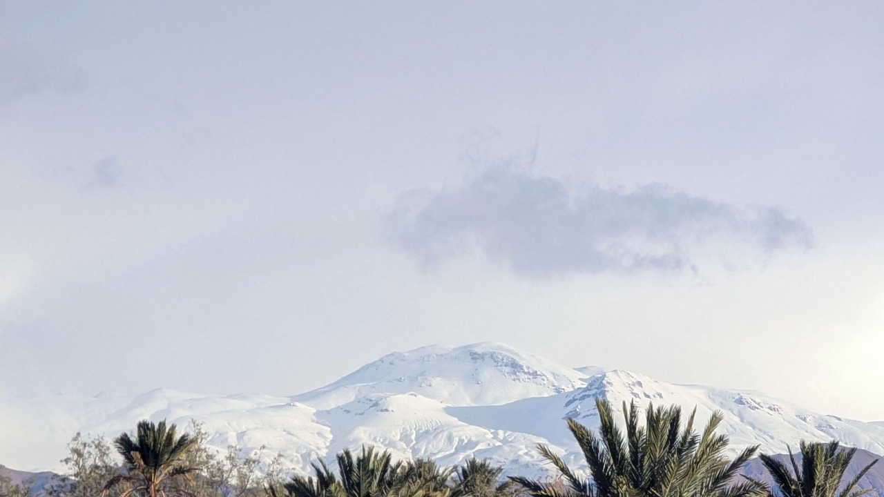 Photo of Others in Skoura
