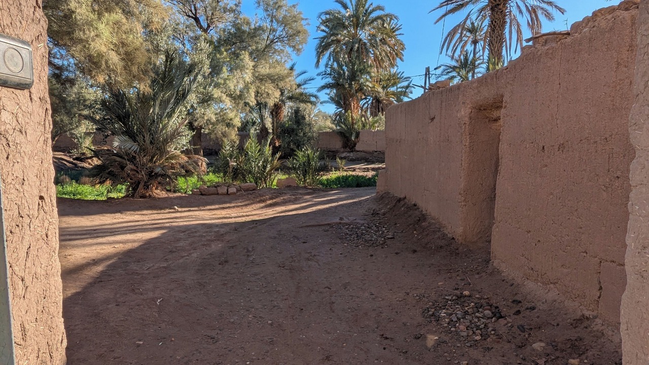 Photo of Outdoor in Skoura