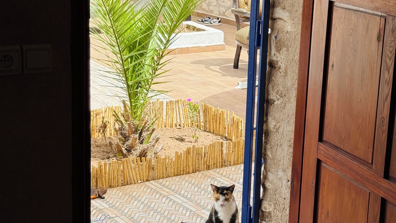 Photo of Others in Ghazoua