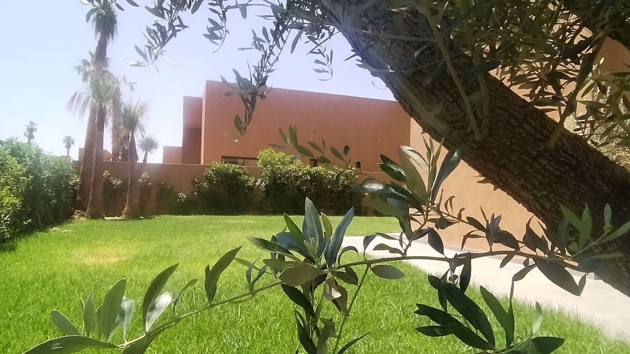 Photo of Outdoor in Douar Sidi Youssef Ben Ali