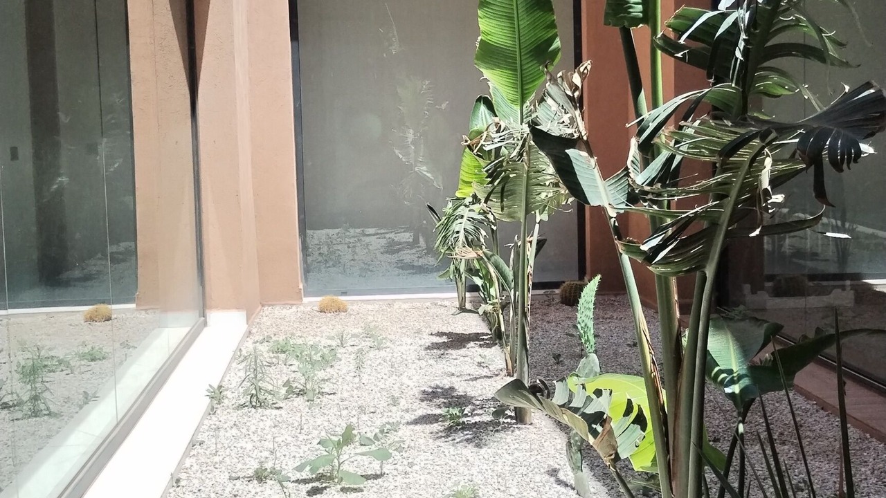 Photo of Outdoor in Douar Sidi Youssef Ben Ali