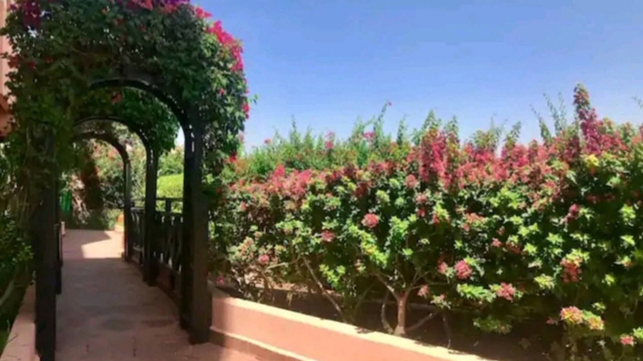 Photo of Outdoor in Palmeraie