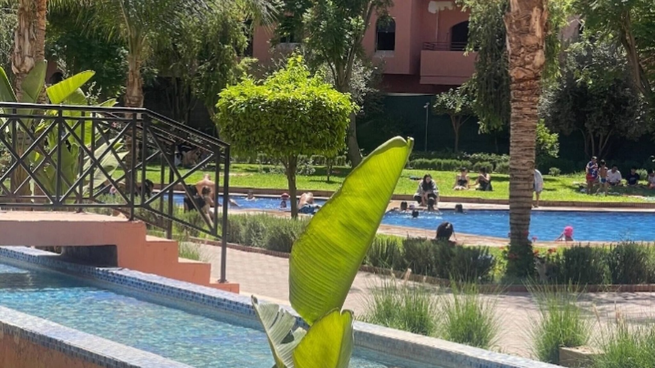 Photo of Outdoor in Palmeraie
