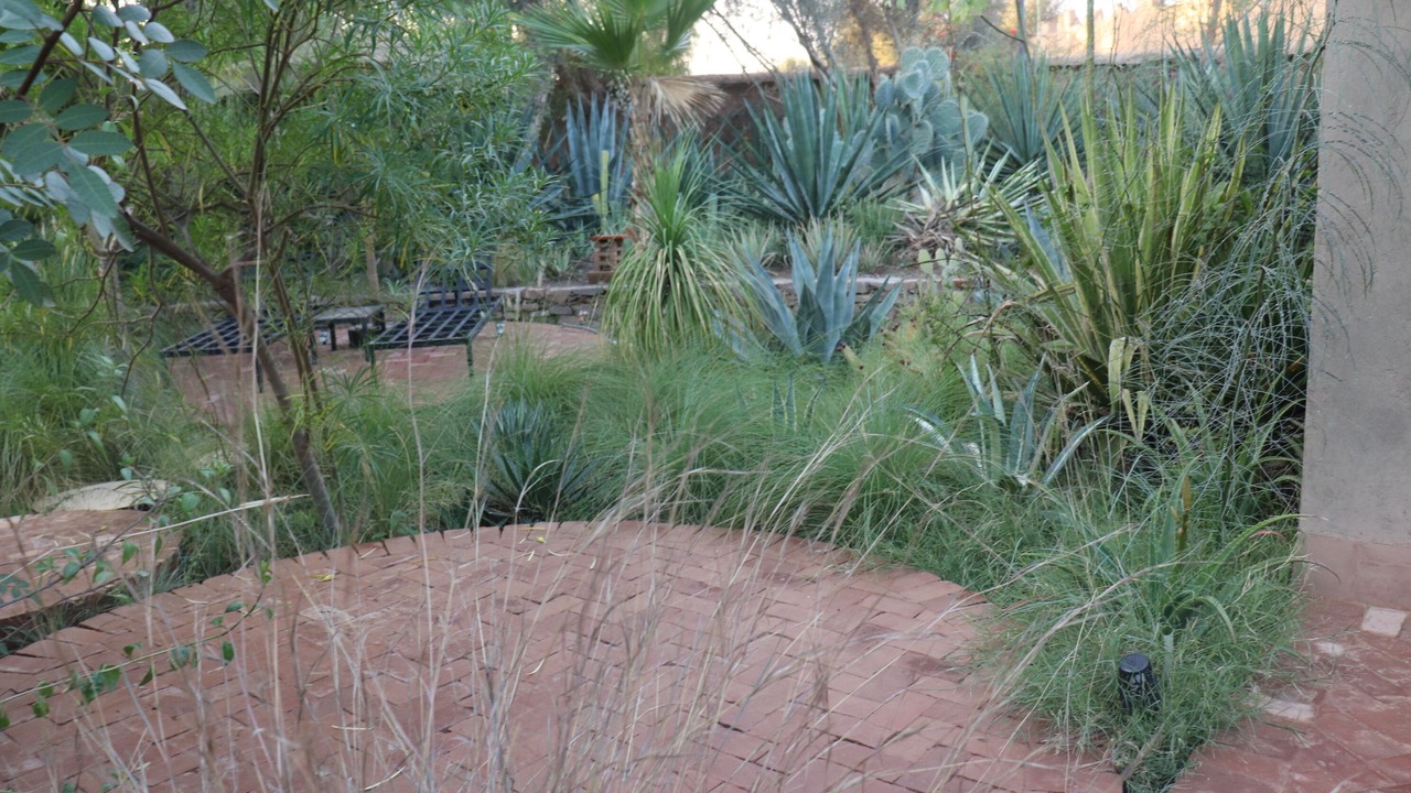 Photo of Outdoor in Taroudannt