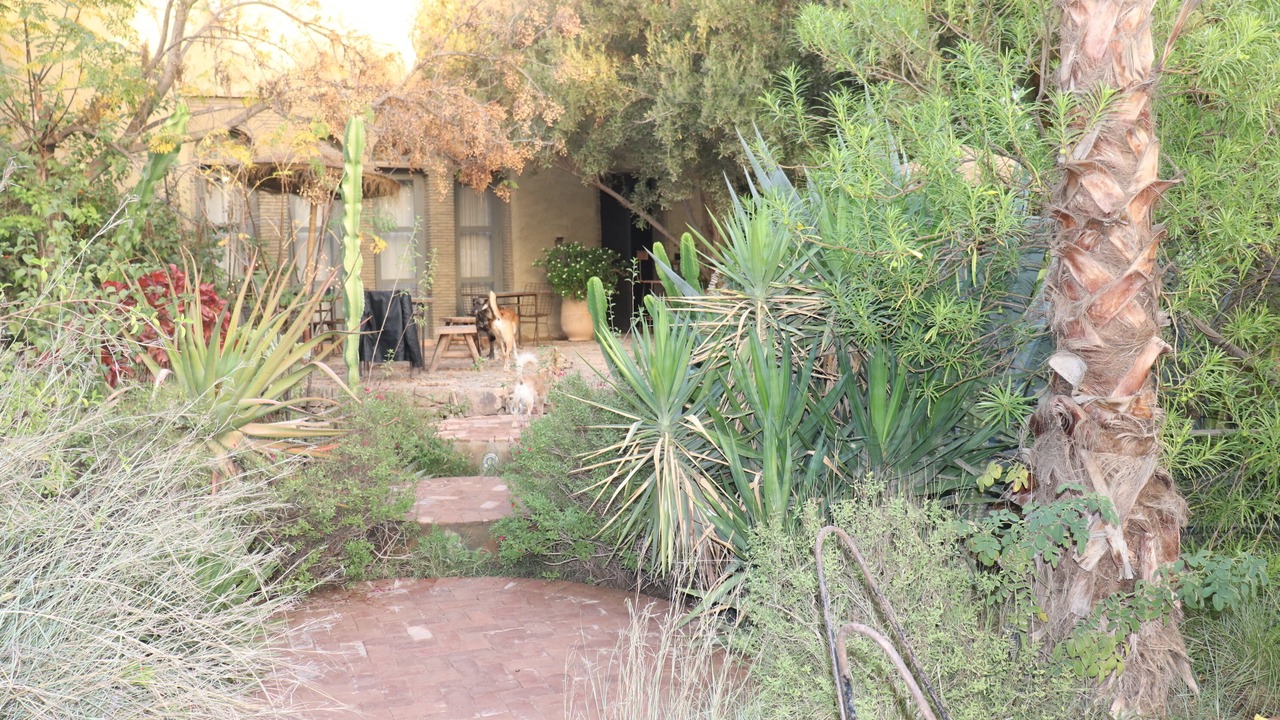 Photo of Outdoor in Taroudannt