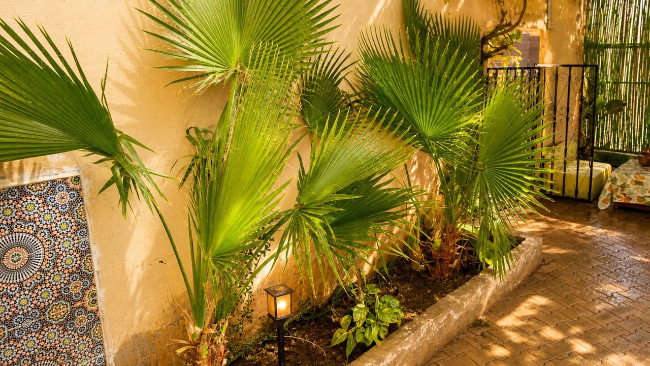 Photo of Outdoor in Taroudannt