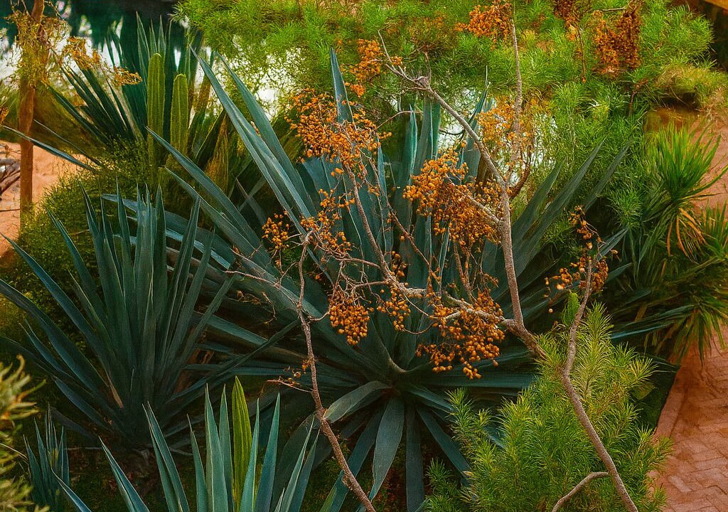 Photo of Outdoor in Taroudannt
