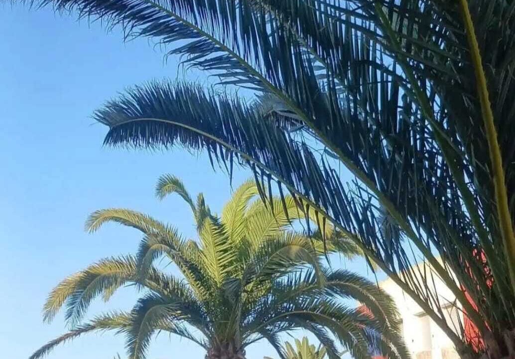 Photo of Outdoor in El Jadida