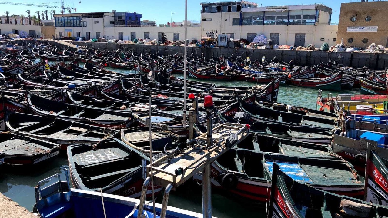 Photo of Others in El Jadida
