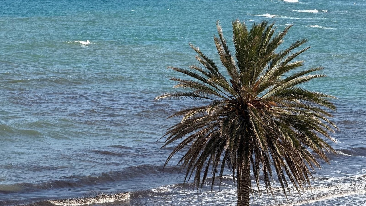 Photo of Others in Al Bahraoyine