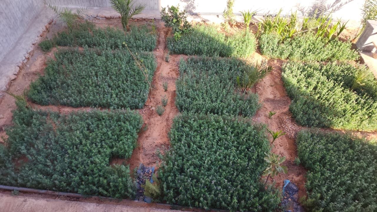 Photo of Outdoor in Alnif