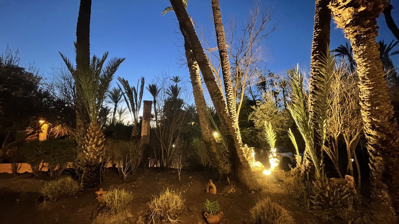 Photo of Outdoor in Palmeraie