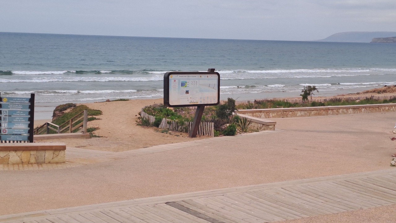 Photo of Others in Tamraght
