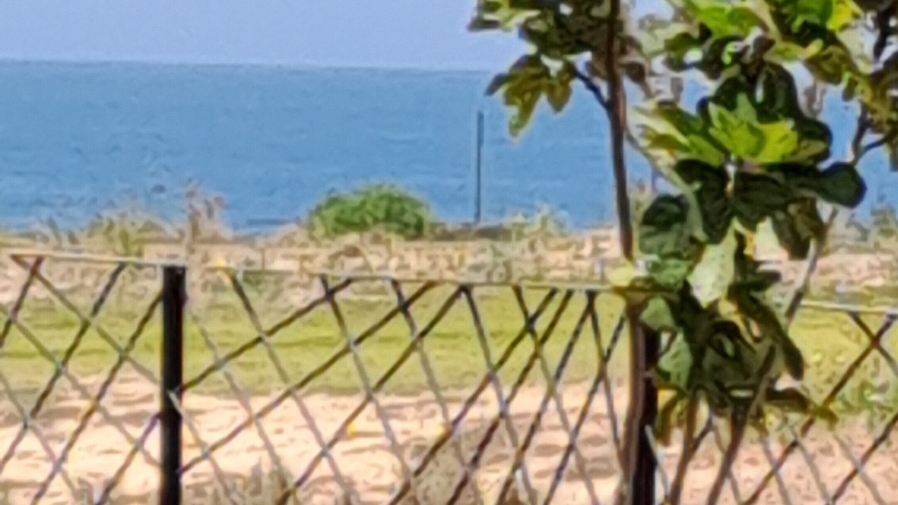 Photo of Others in Tamraght