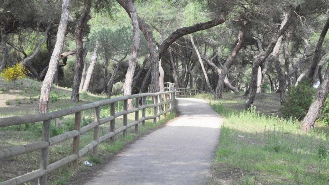 Photo of Outdoor in Punta Umbria
