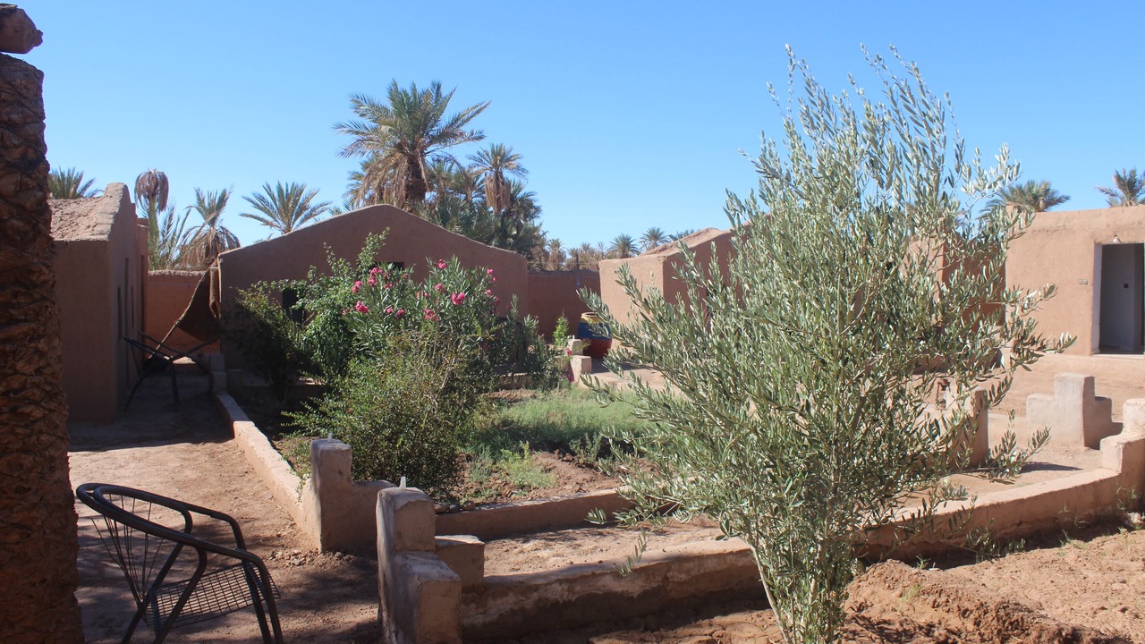 Photo of Outdoor in M'Hamid El Ghizlane