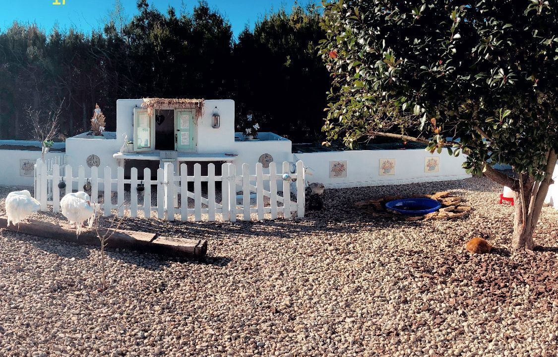 Photo of Outdoor in Ulldecona