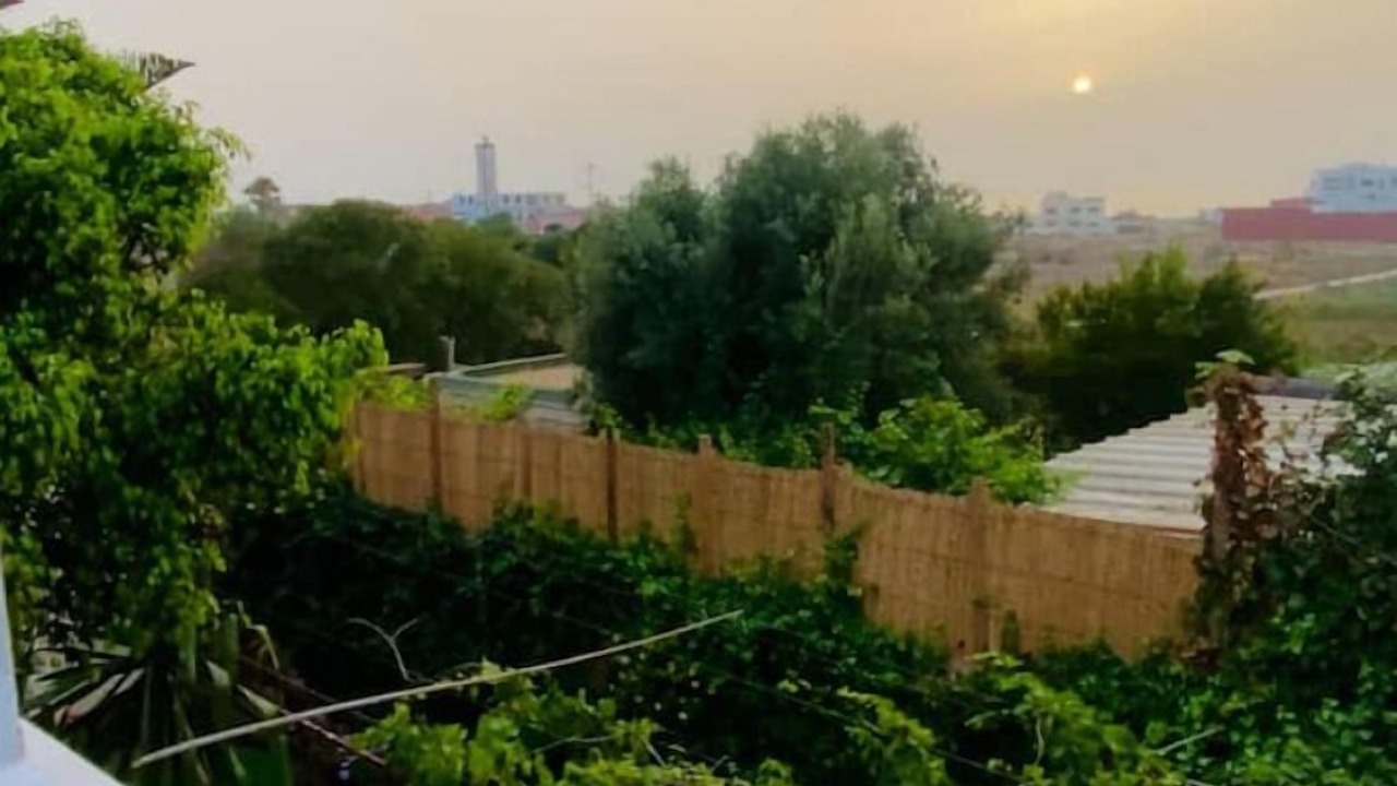 Photo of Outdoor in Tamariss
