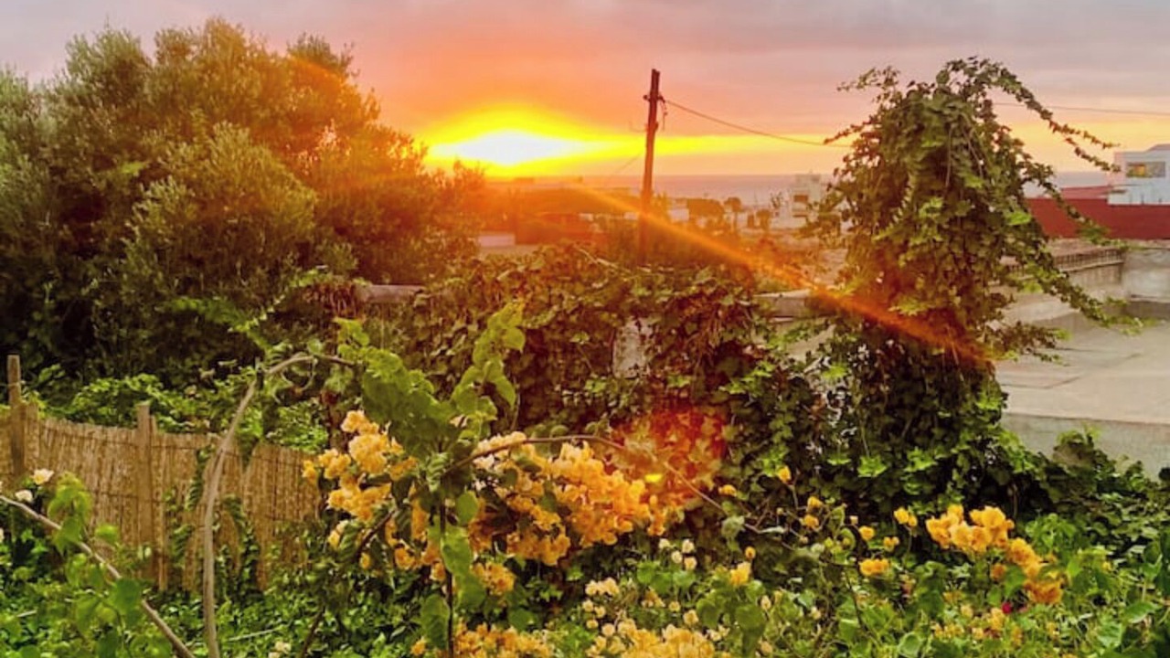 Photo of Outdoor in Tamariss