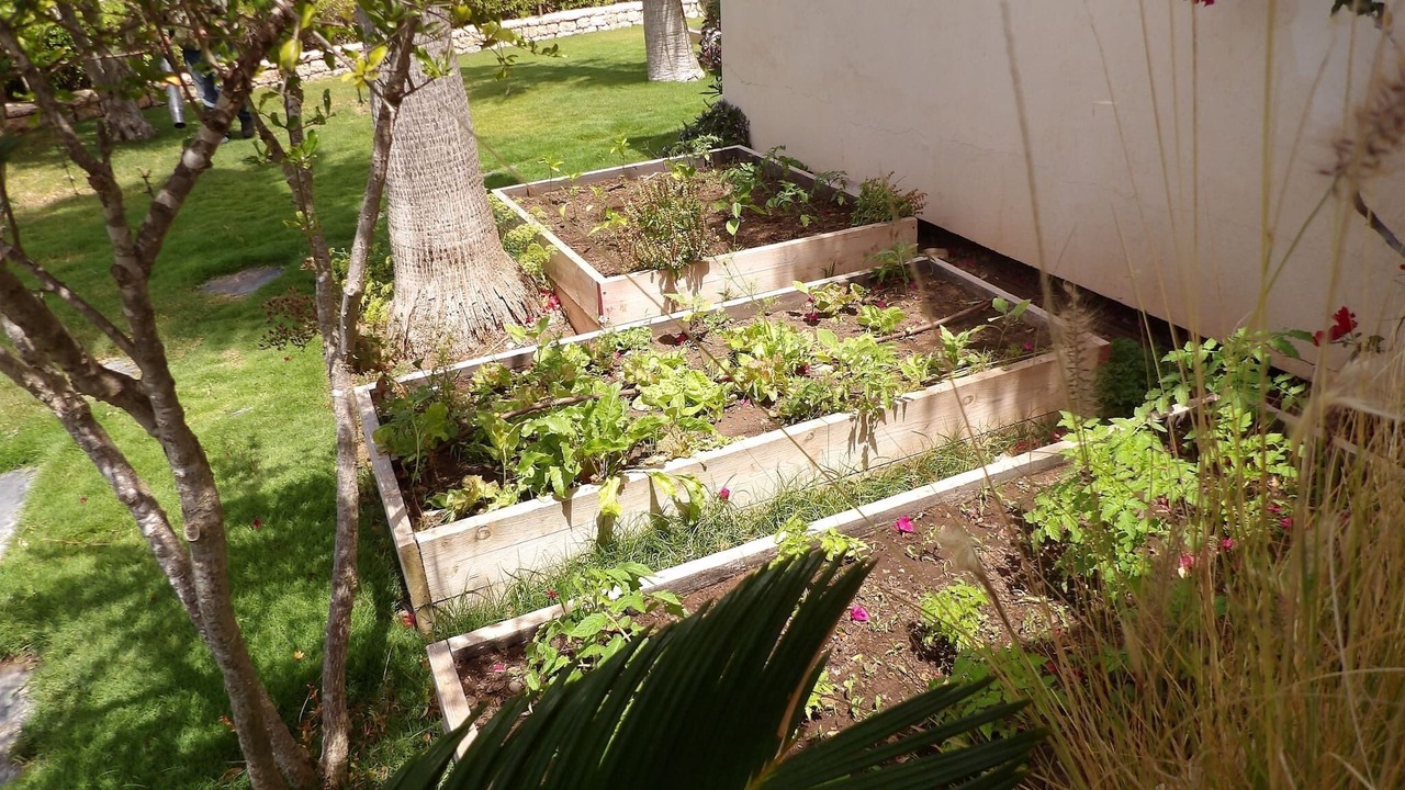 Photo of Outdoor in Essaouira
