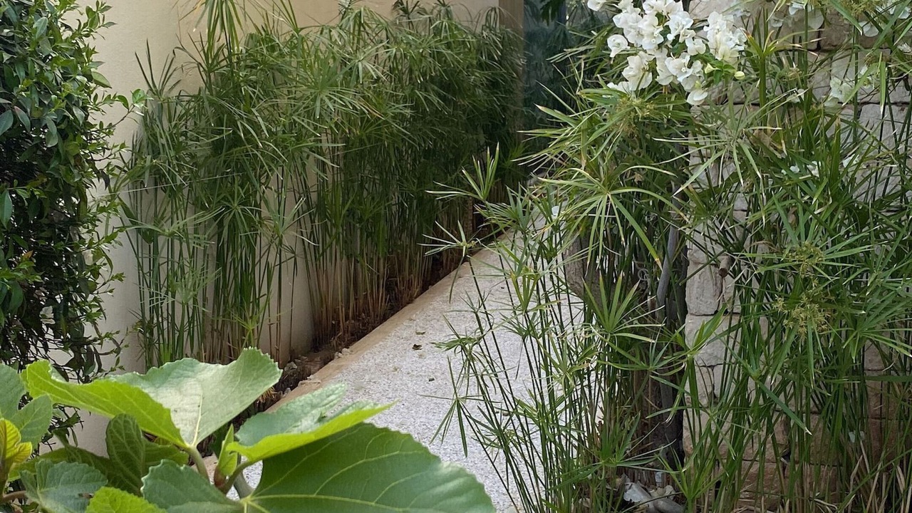 Photo of Outdoor in Essaouira