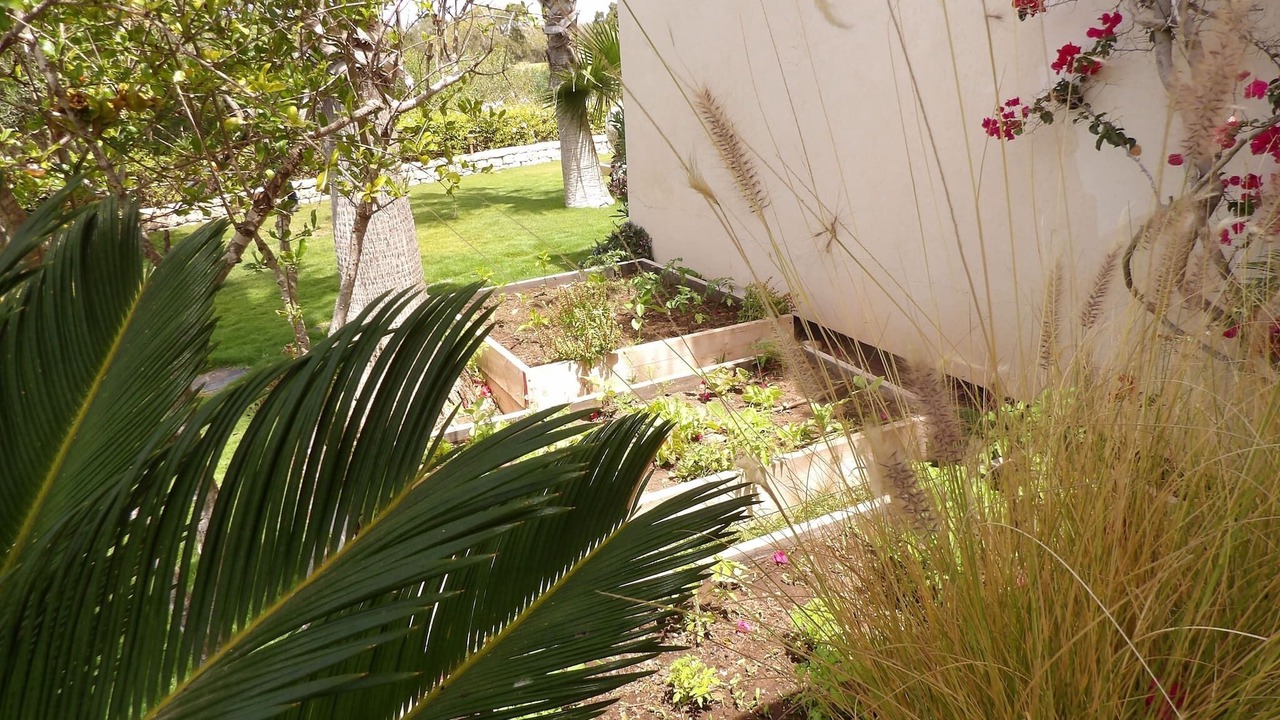 Photo of Outdoor in Essaouira