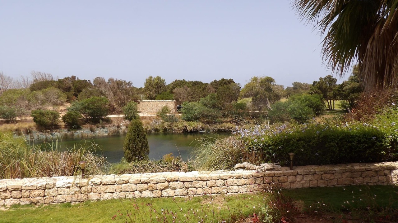 Photo of Outdoor in Essaouira