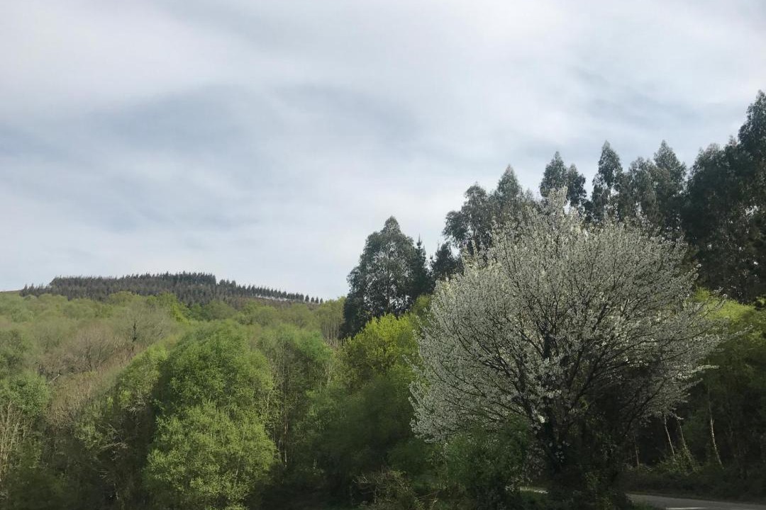 Photo of Others in Ribeira de Piquin