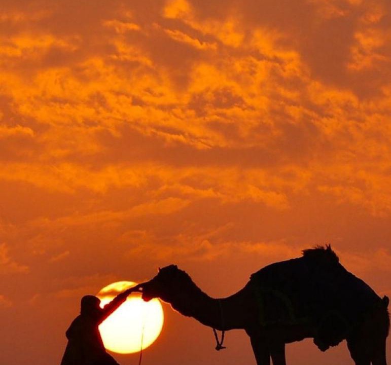 Photo of Others in Merzouga