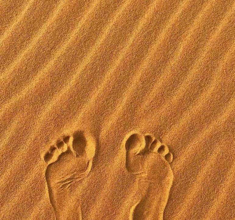 Photo of Others in Merzouga
