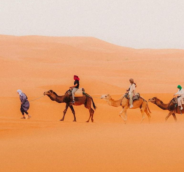 Photo of Others in Merzouga