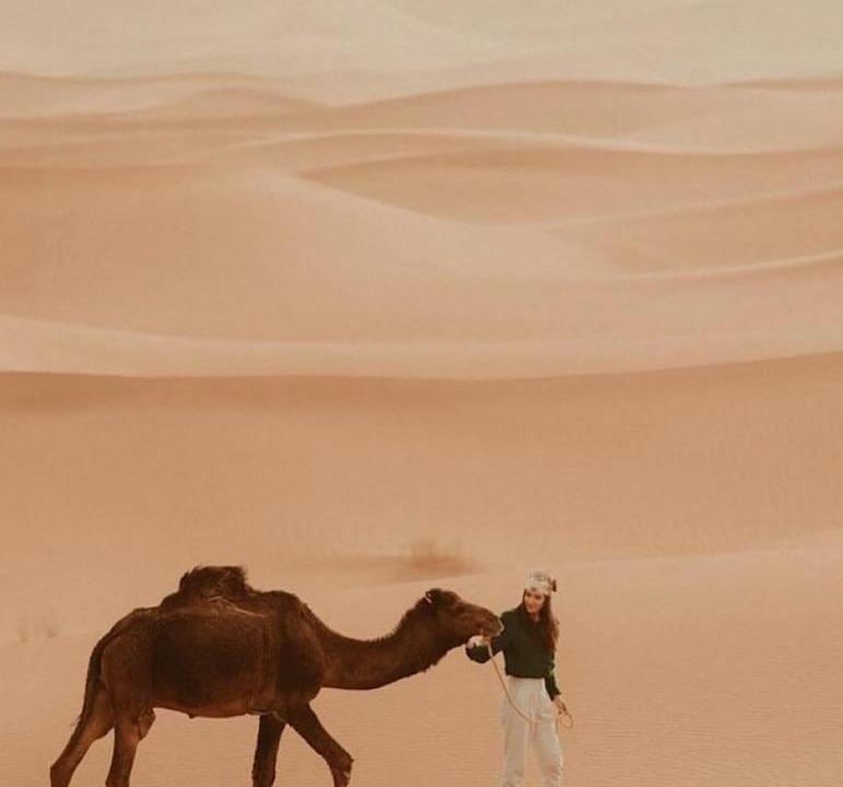 Photo of Others in Merzouga