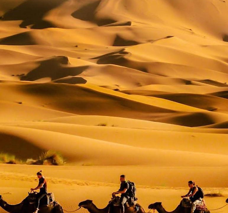 Photo of Others in Merzouga