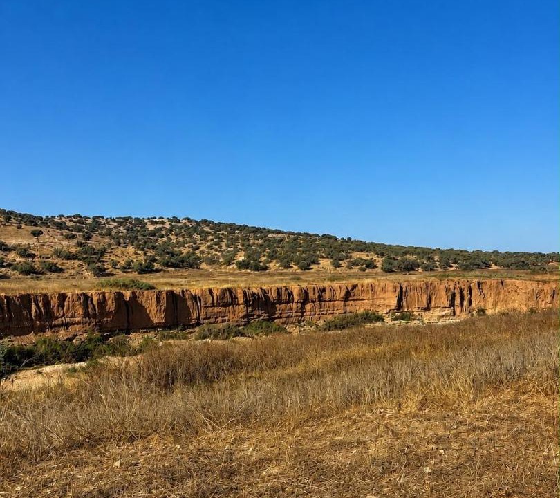Photo of Others in Sidi Kaouki