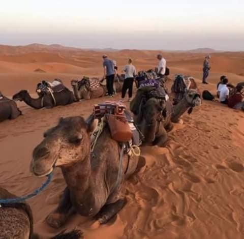 Photo of Others in Zaouia Sidi Rhalem