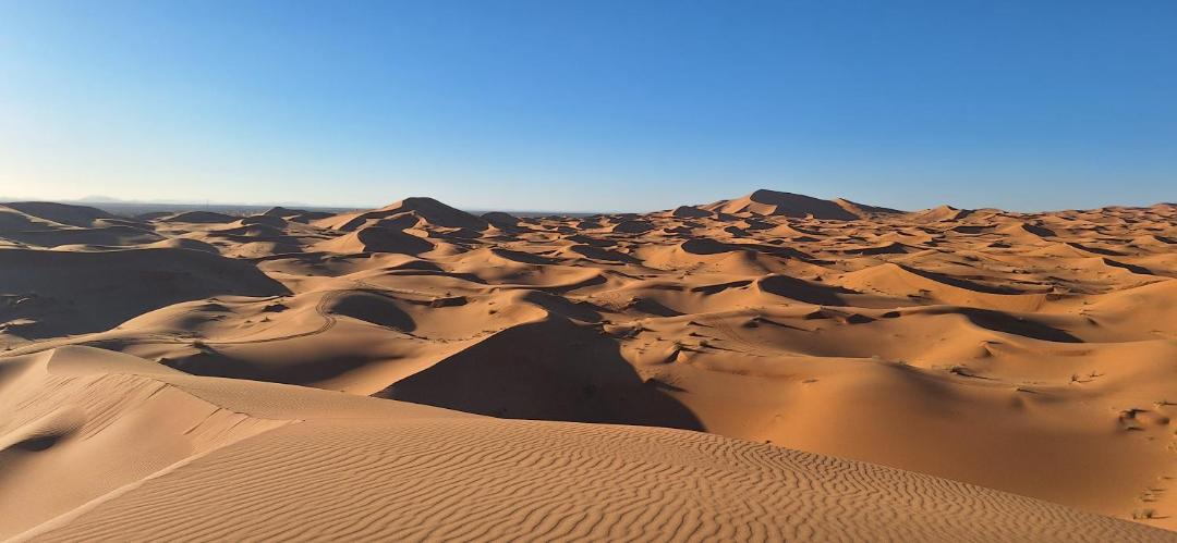 Photo of Others in Hassilabied