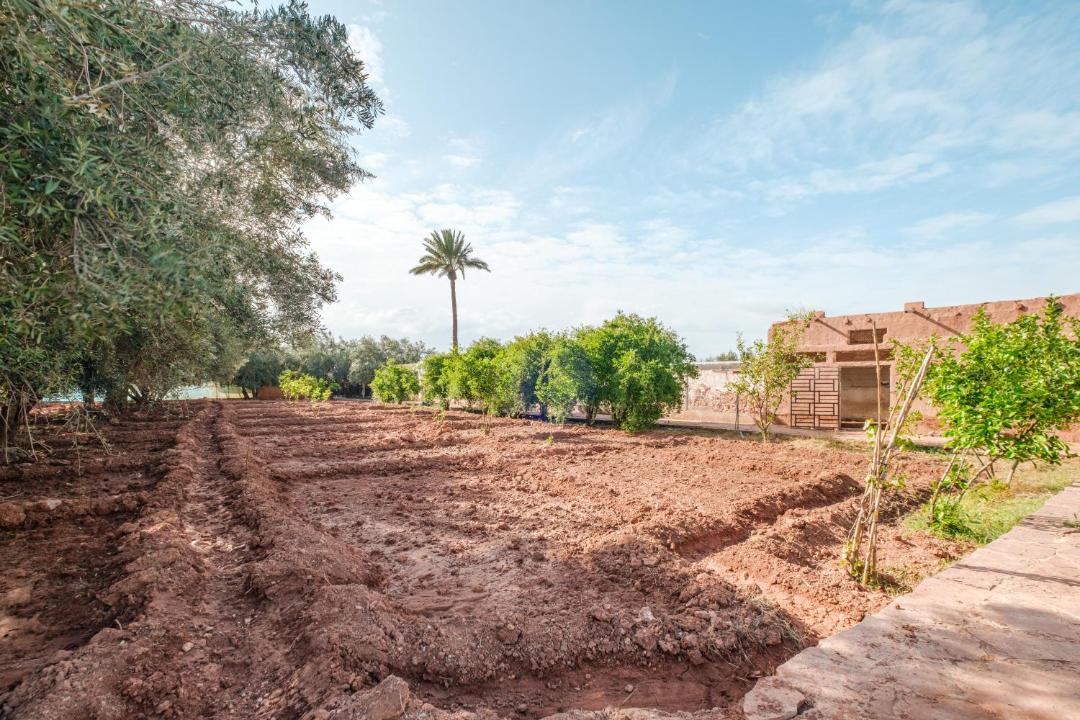 Photo of Others in Zaouia Sidi Abdallah Ben Sassi