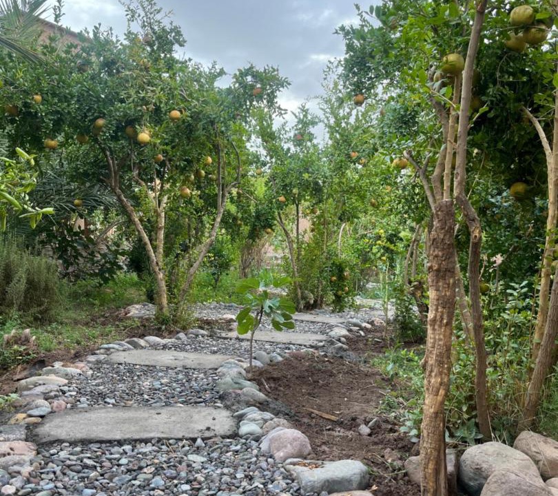 Photo of Outdoor in Skoura