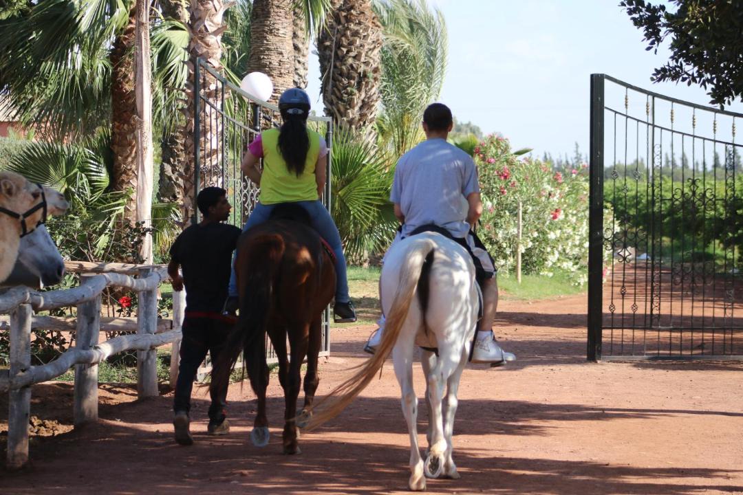Photo of Others in Sidi Boumoussa