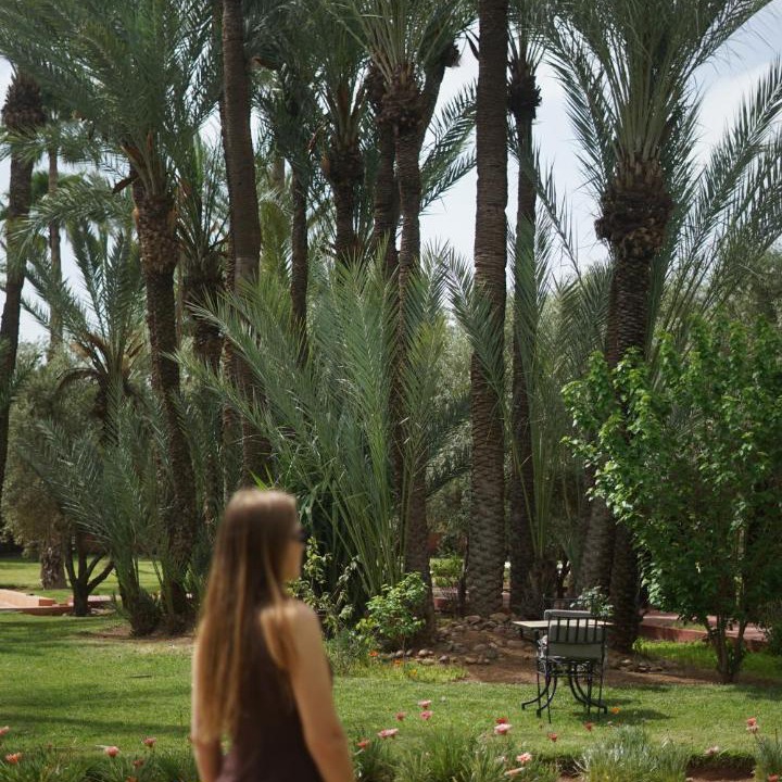 Photo of Others in Palmeraie