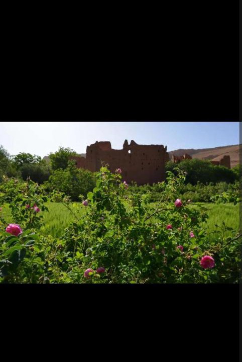 Photo of Others in Hdida