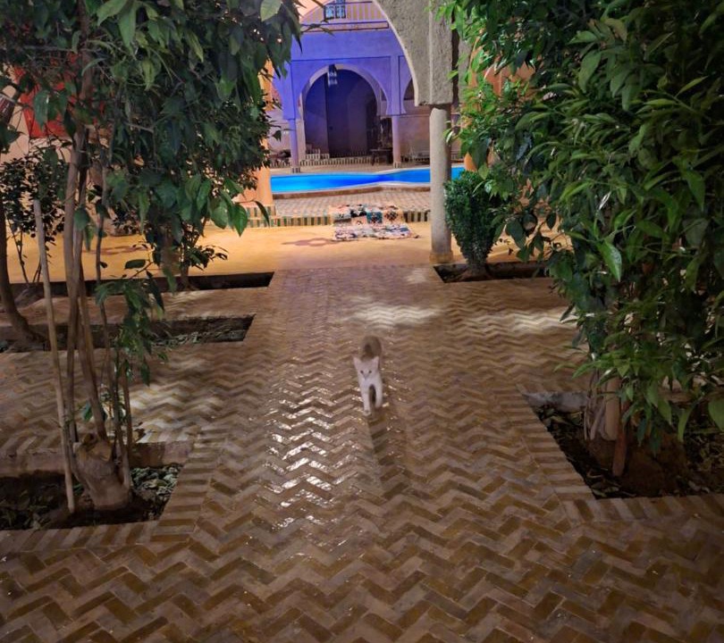 Photo of Others in Hassilabied