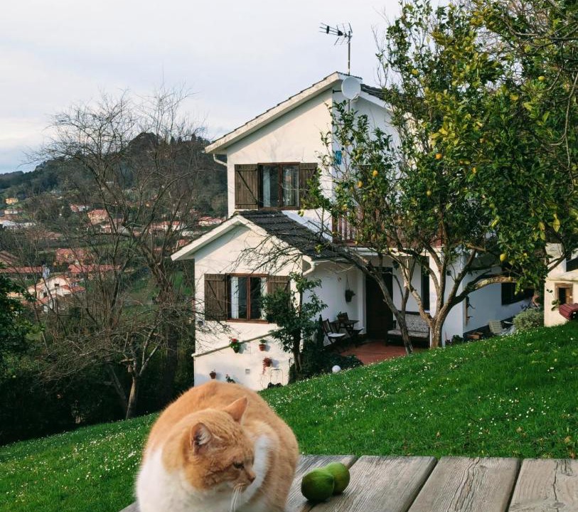 Photo of Others in Cabuenes
