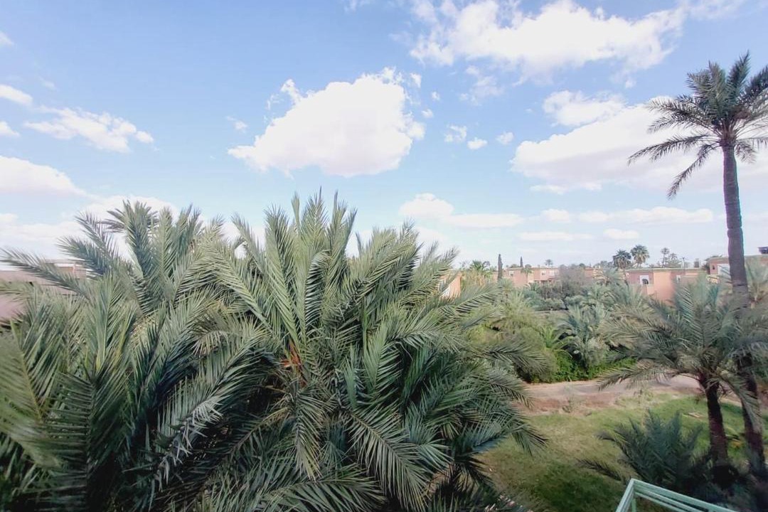 Photo of Others in Palmeraie