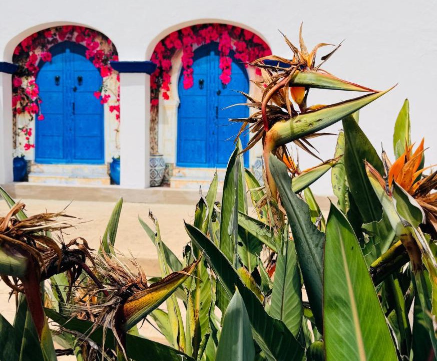 Photo of Others in Medina-Sidonia