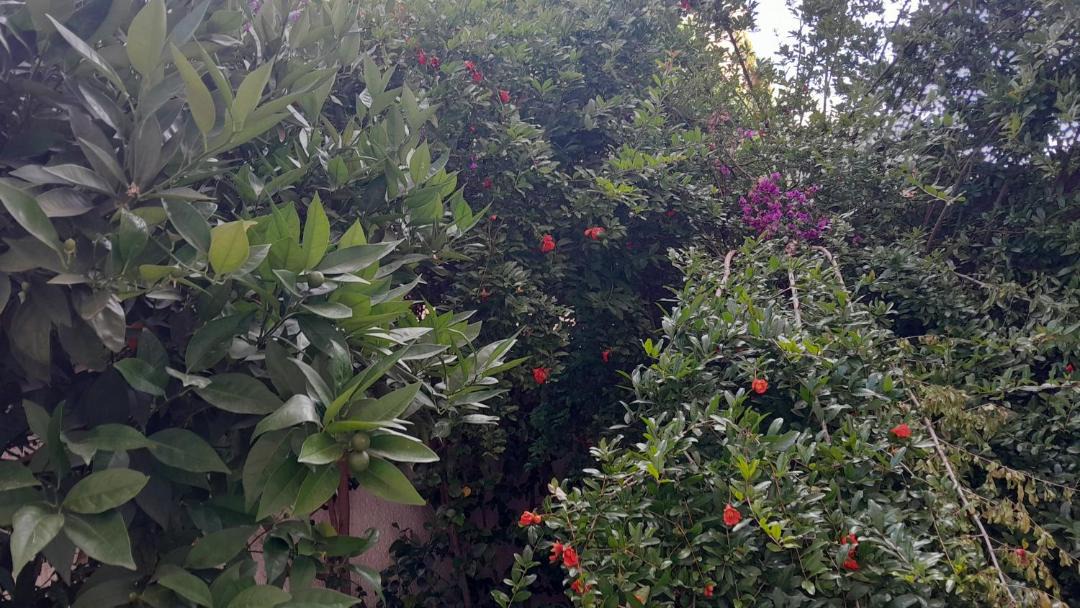 Photo of Outdoor in Beni Mellal