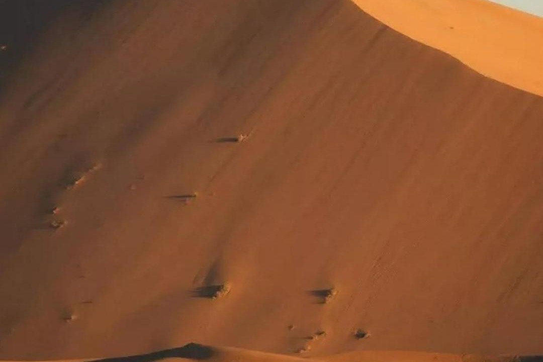 Photo of Others in Taouz