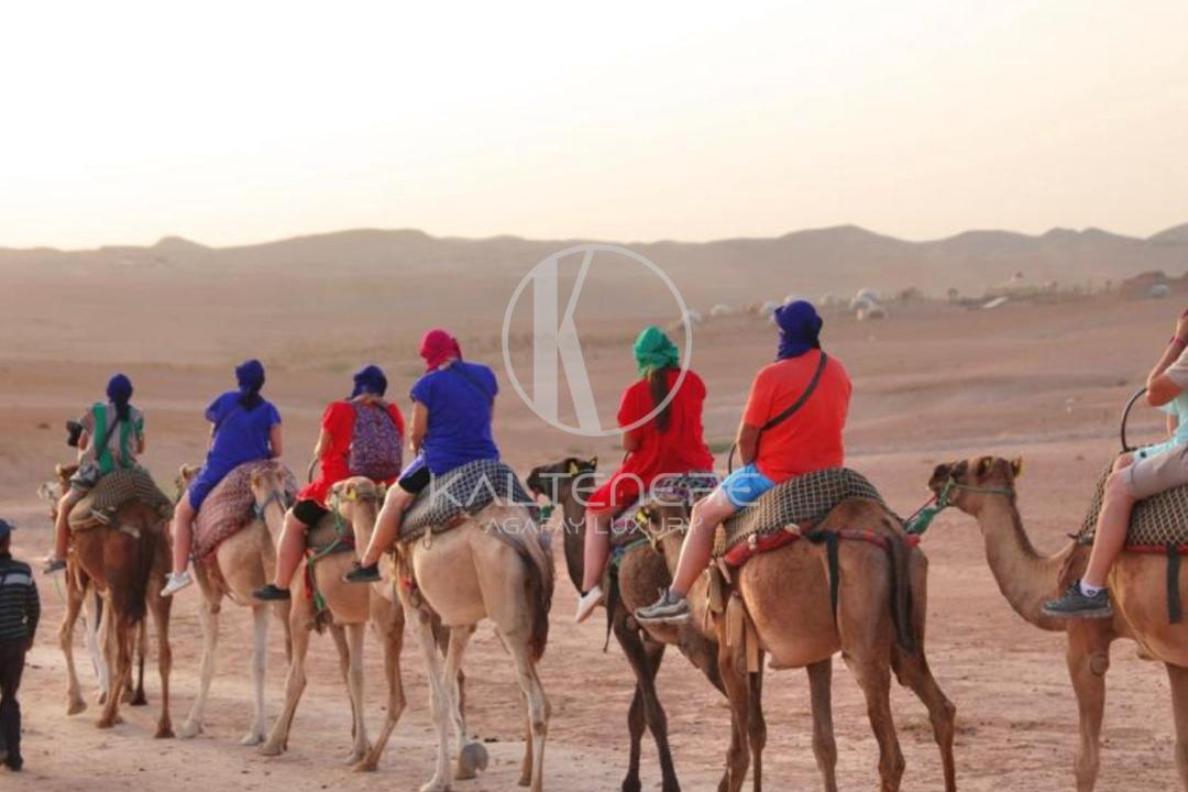 Photo of Others in Nzala