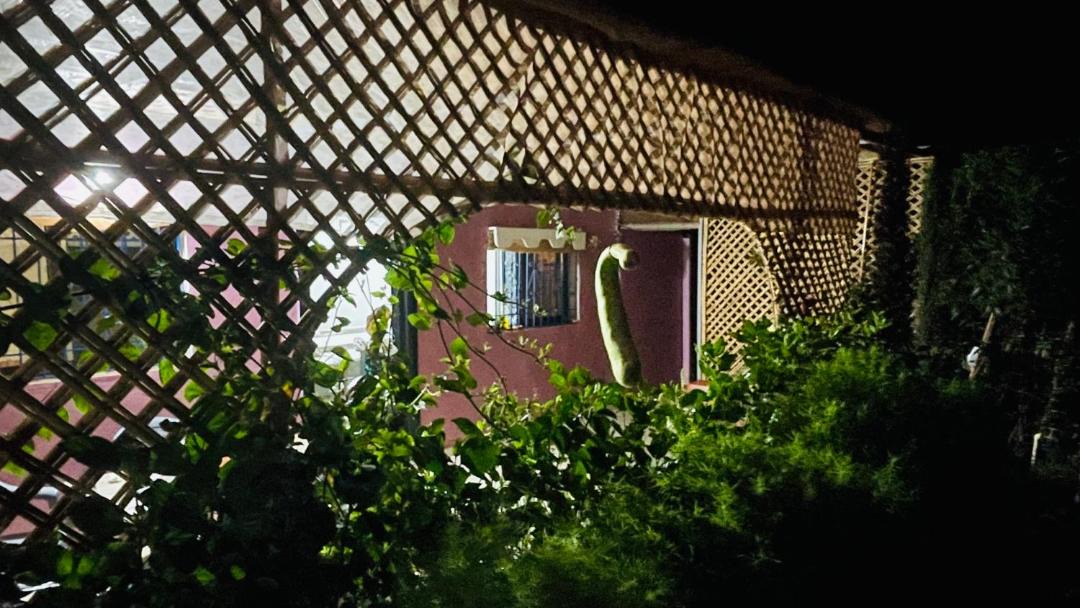 Photo of Patio Balcony in Sidi Bibi